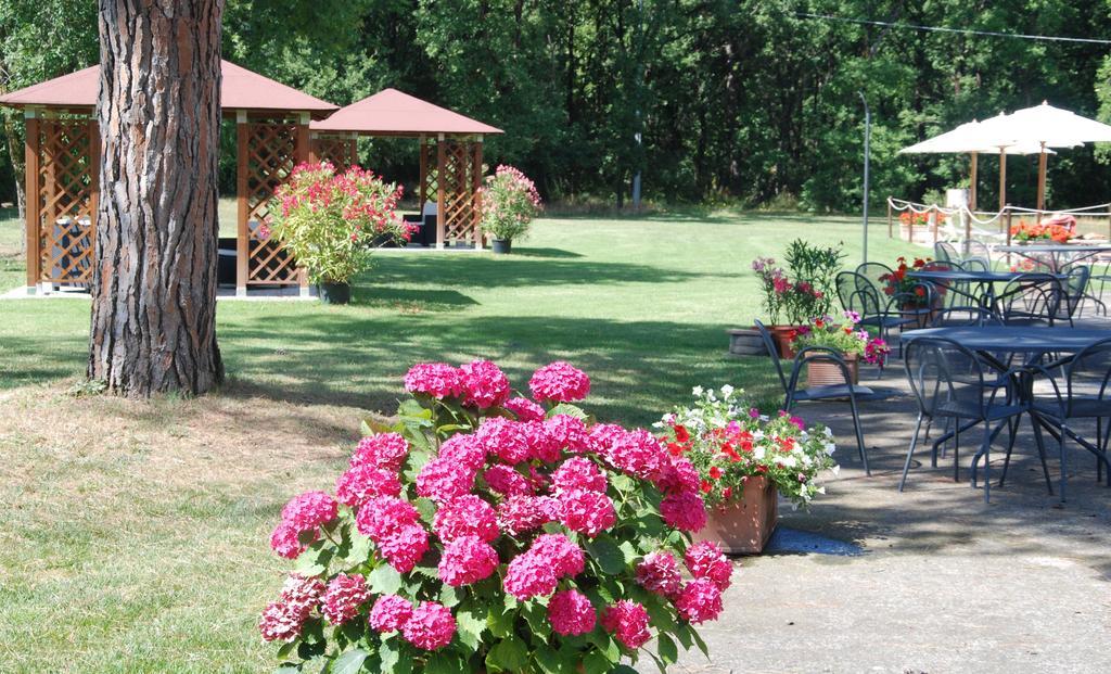 Agriturismo Antica Riserva Castiglione del Lago Exterior foto